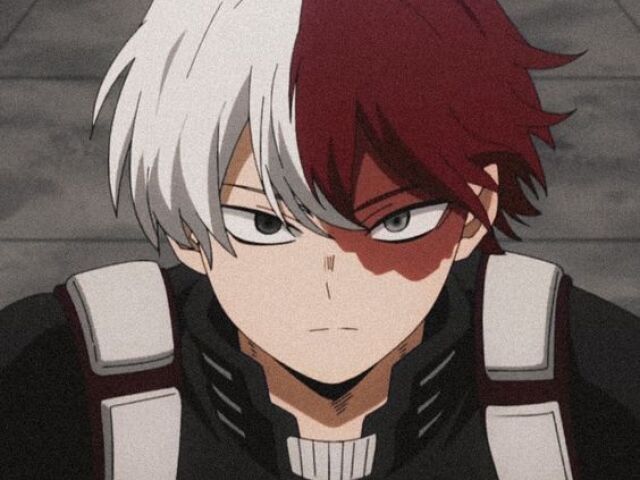 Todoroki (BNHA)