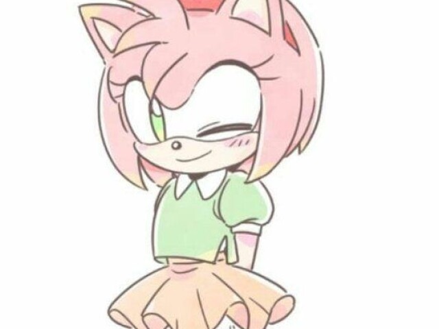 Amy the hedgehog