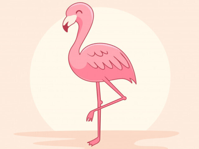 Flamingo