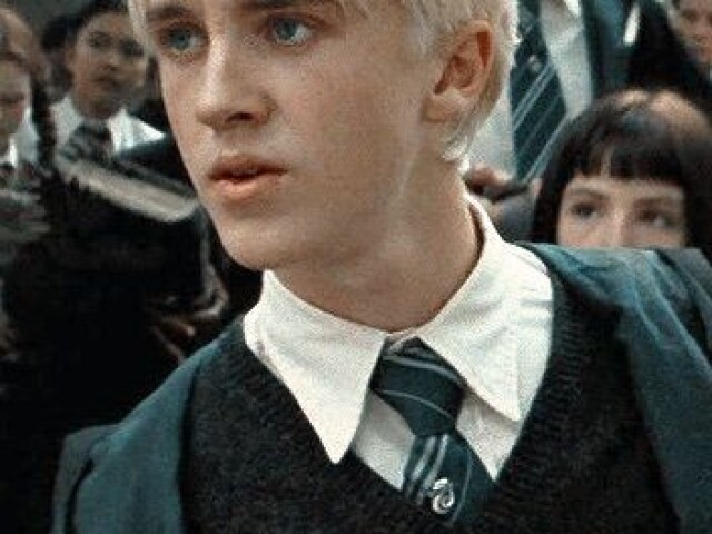 Draco Malfoy🐍 .loiro😔 e a perfeiçao😍