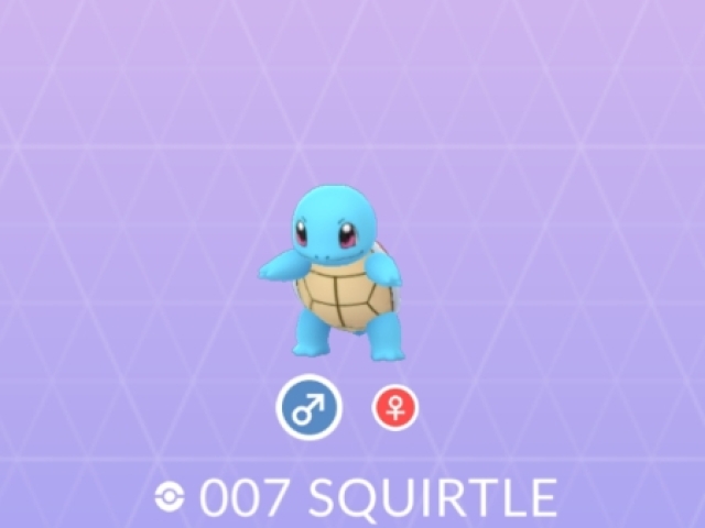 Squirtle