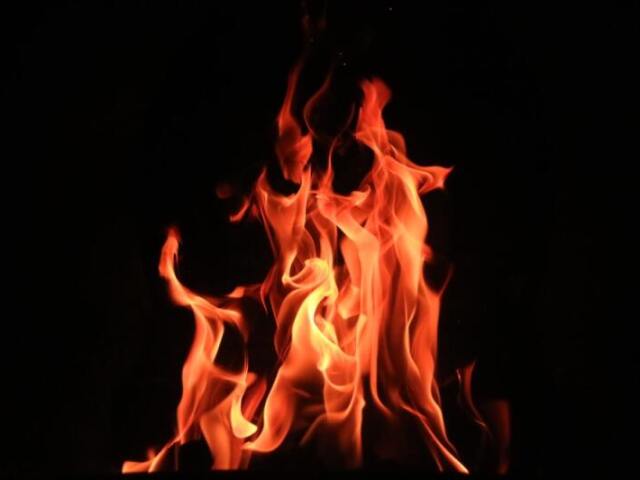 Fogo