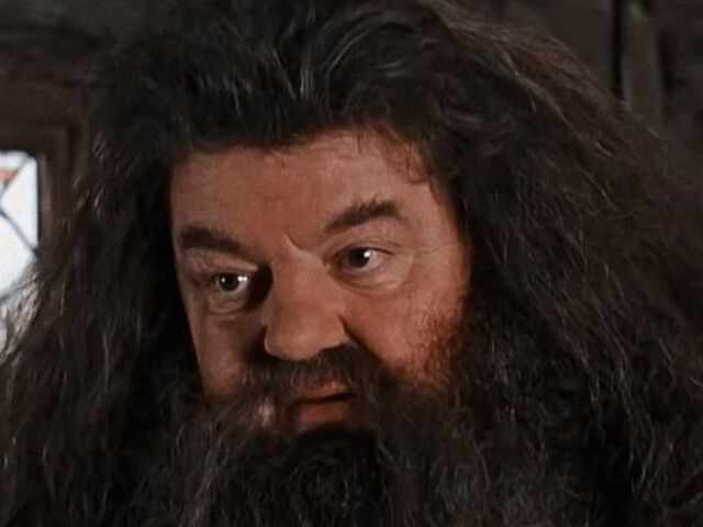 Hagrid