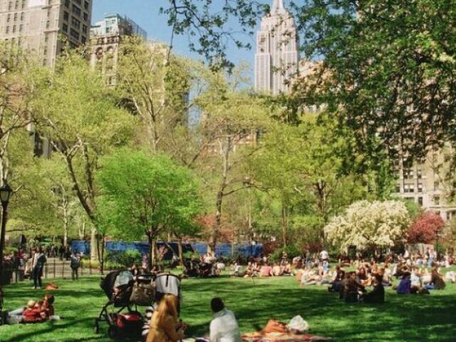 Passear no parque.