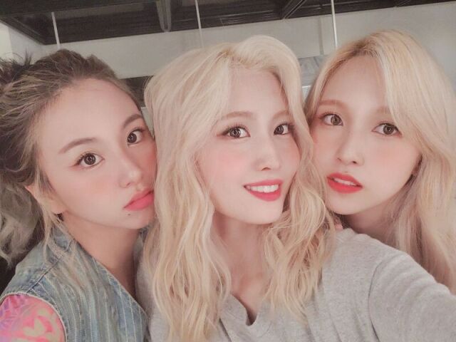 Chaeyoung, Momo, Mina