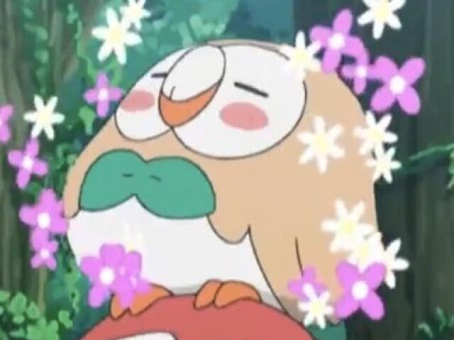 🌱Rowlet🌱