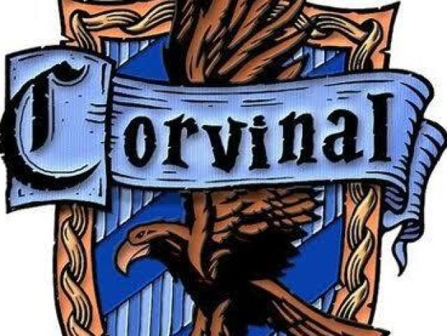 Corvinal 💙🦅
