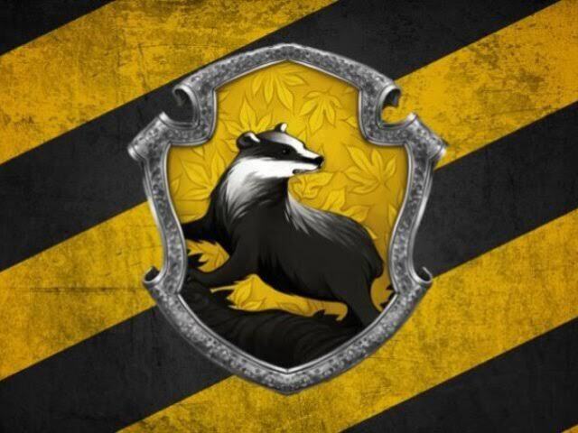 Lufa-lufa 🦡💛🖤💛🖤