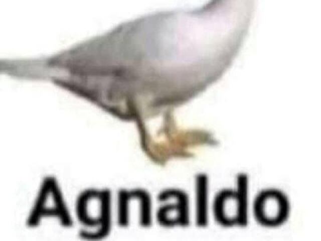 Agnaldo 🐔