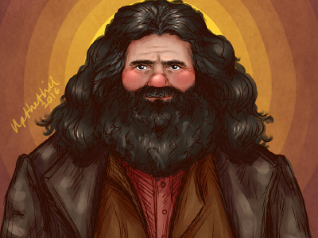 Professor Rubeus Hagrid.