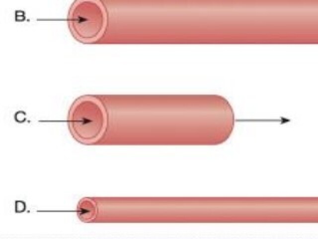 o tubo C, pois possui maior diâmetro e menor comprimento, facilitando o fluxo
