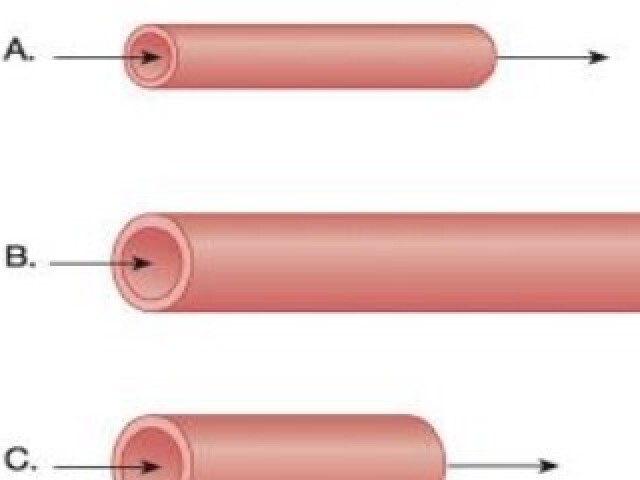 o tubo A, pois possui maior diâmetro e menor comprimento, facilitando o fluxo