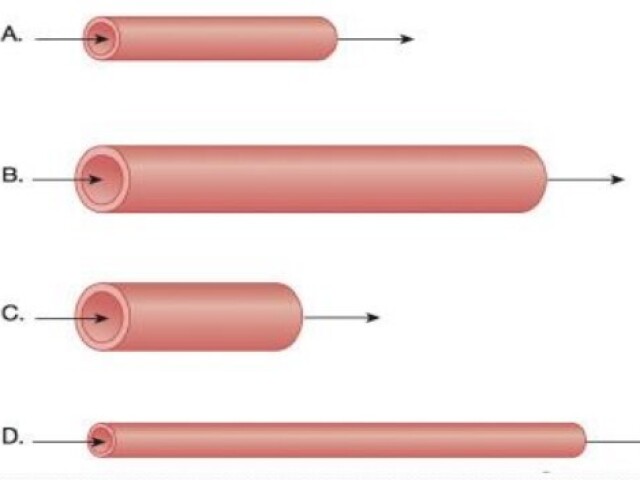 o tubo D, pois possui menor diâmetro e maior comprimento, facilitando o fluxo