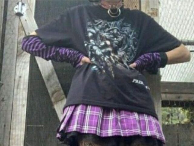 Essahhhhh! AMEIIII MTOOOOO! ( A parte de baixo e uma meia calรงa com pintas de onรงa, duas meias uma e rosa e preta e a outra e sรณ preta ) ( Atรฉ eu amei mto ksksksks )