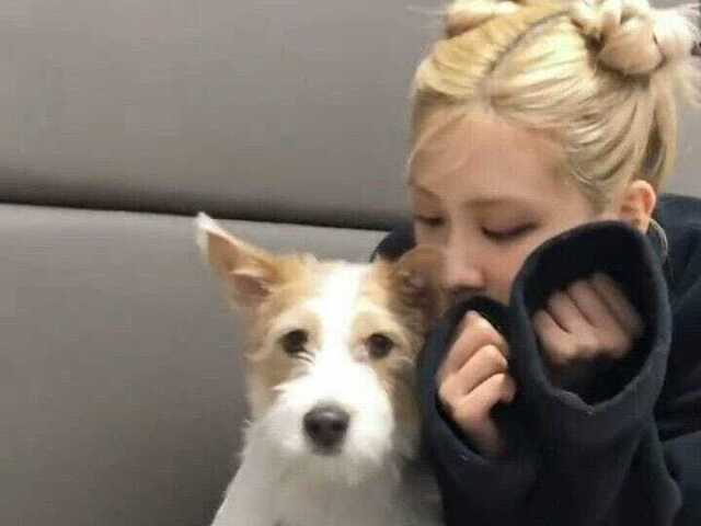 Rosé e doguinho💖