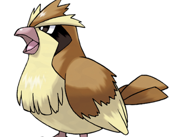 pidgey