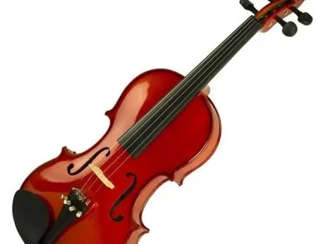 Violino