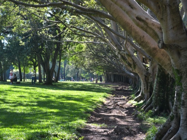 ao mesmo parque