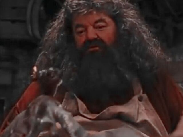 hagrid