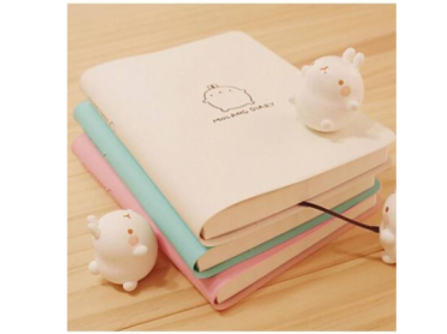 caderno Soft