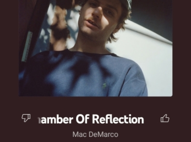 Chamber Of Reflection - Mac DeMarco