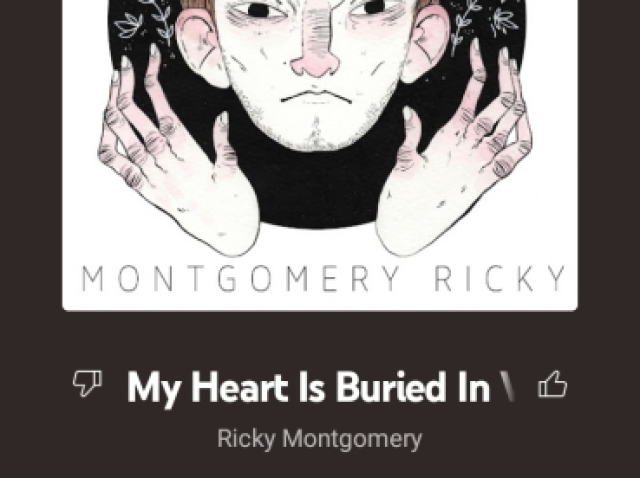 My Heart Os Buried In Venice - Ricky Montgomery