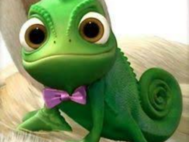 Pascal