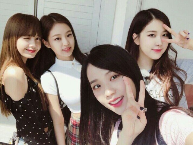 Jennie,Rose,Jisso e Lisa