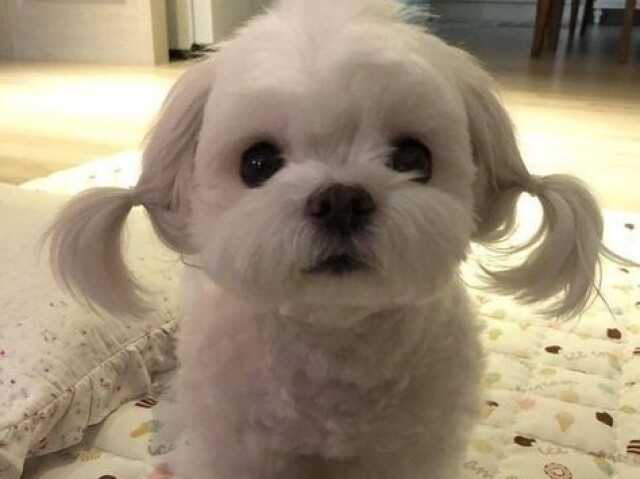 :)