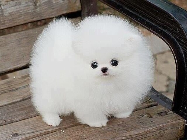 :)