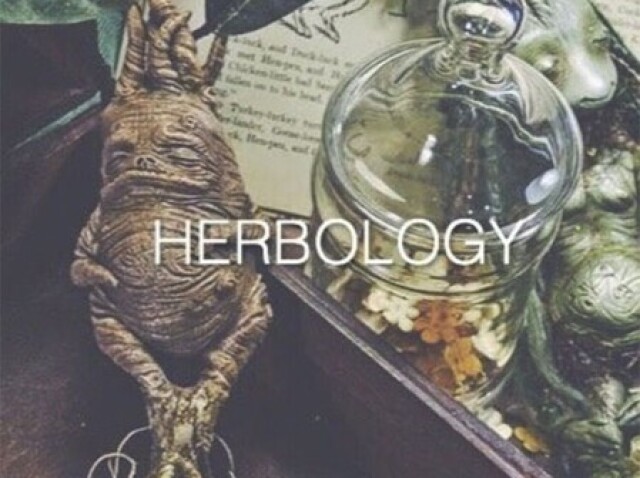 Herbologia