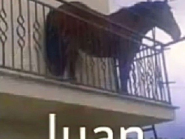 Juan