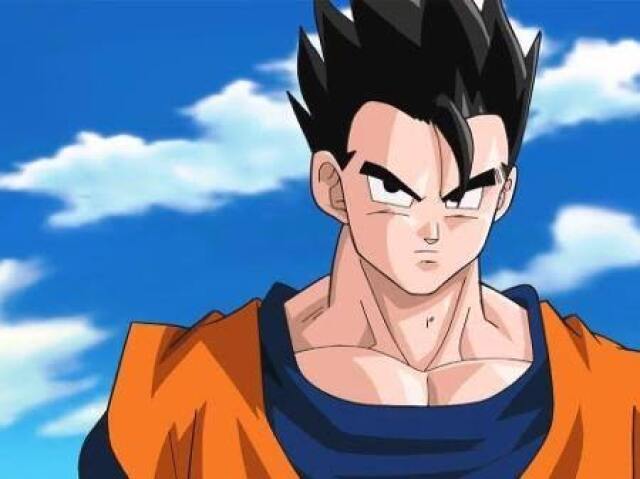 Você é o Gohan