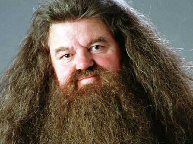 Rúbeu Hagrid