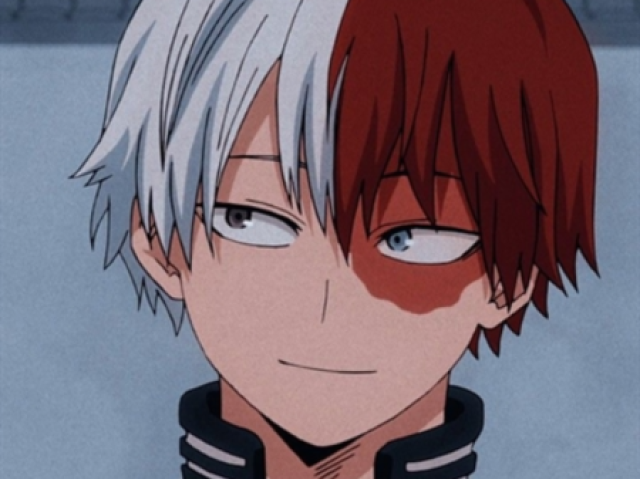 Shoto Todoroki