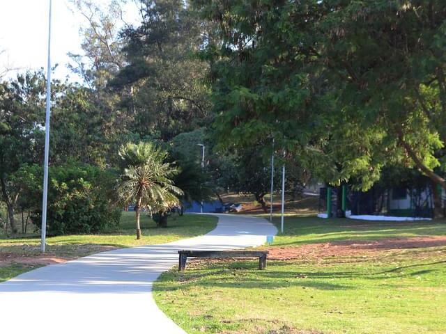 No parque, passeando com o seu cachorro.