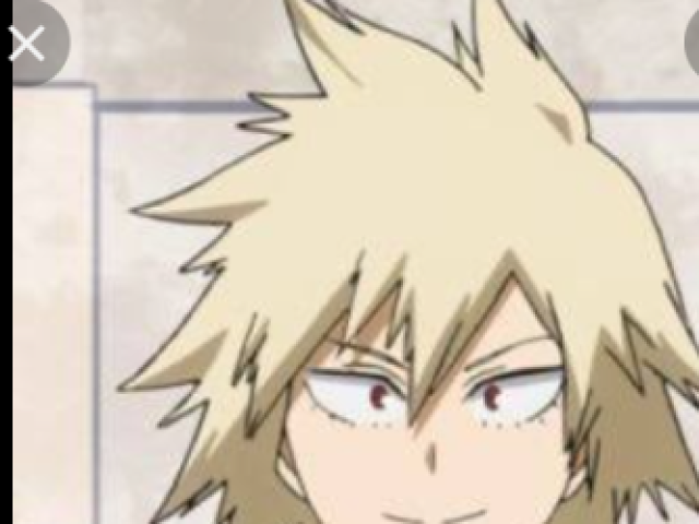 mitsuki bakugou