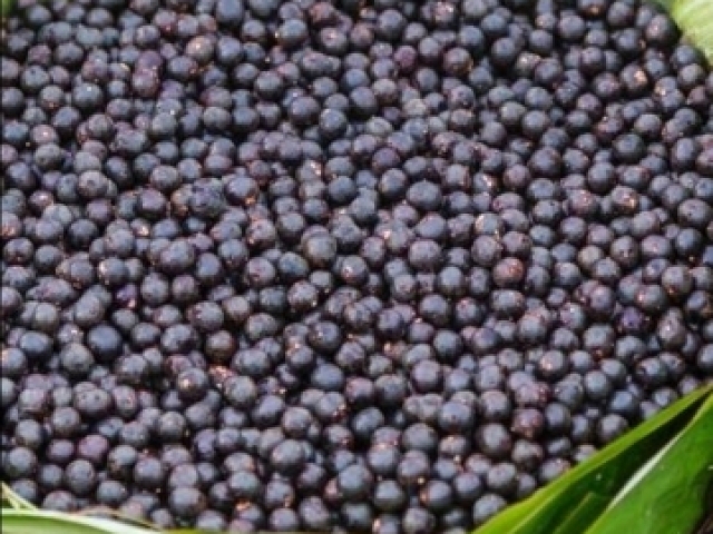 Açaí