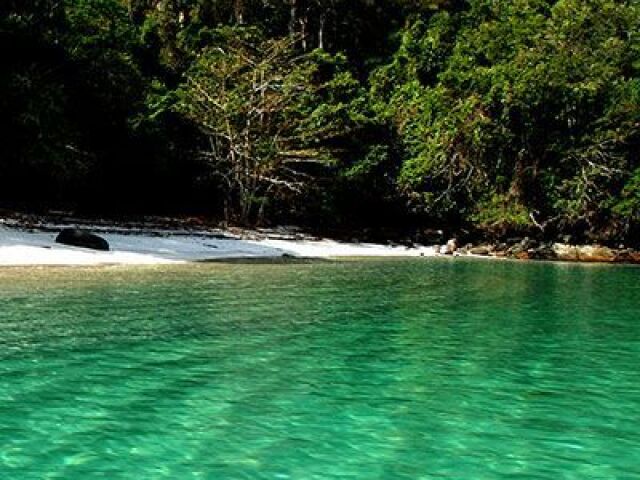 Relaxa na sua ilha até que aparecem canibais