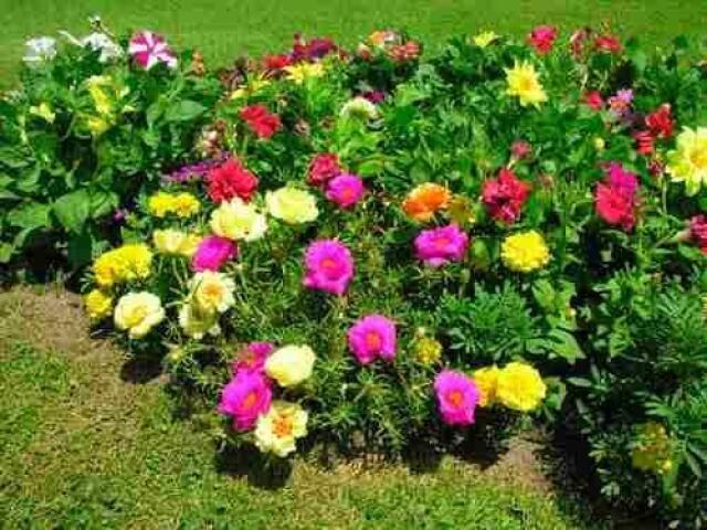 11 horas🌺