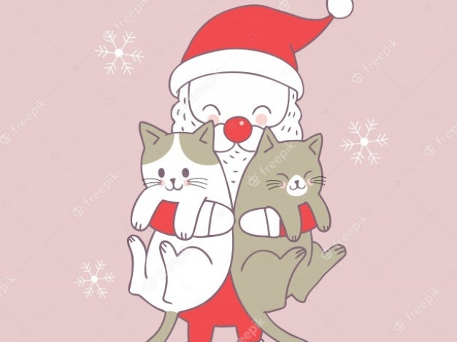 Meus Parabéns, Feliz Natal!
