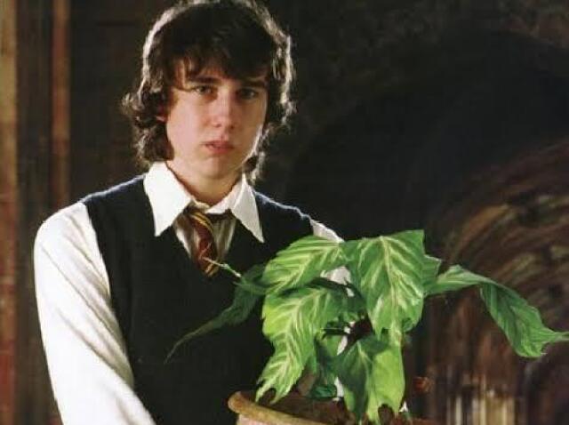 Neville Longbottom