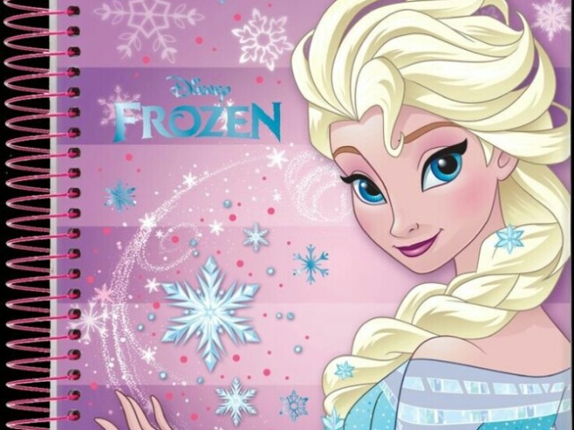 Caderno da elsa