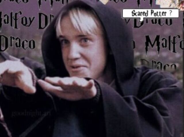 Draco Malfoy🐍