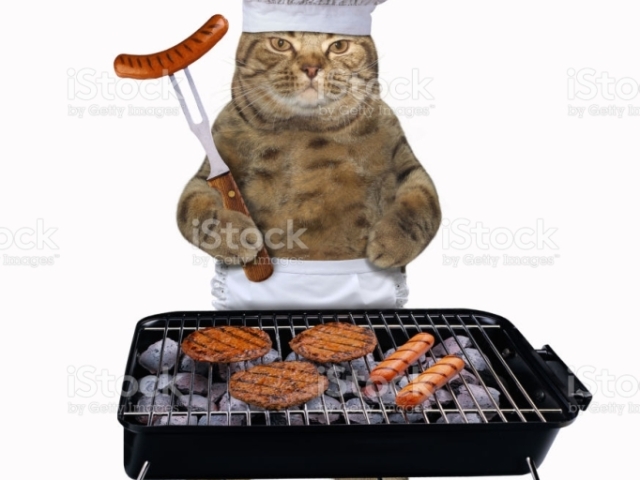 Churrasco de gato