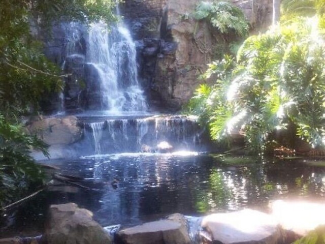 Numa cachoeira