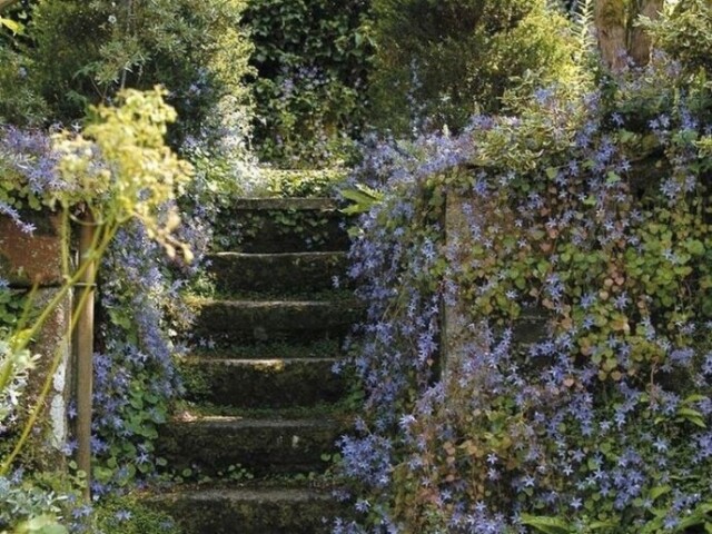 Um lugar cheio de flores e árvores: