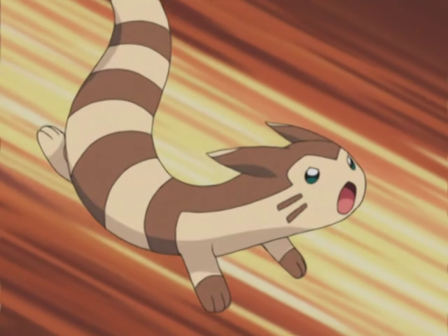 Furret