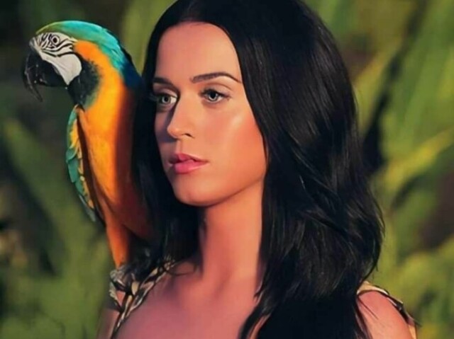 Katty Perry