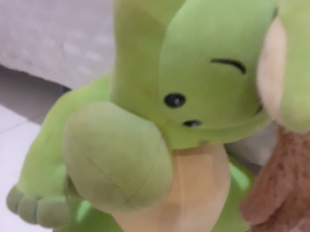 Canguru